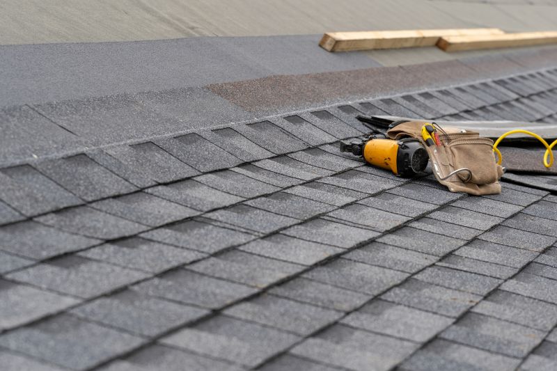 Asphalt Shingles Installation in Neptune Beach, FL