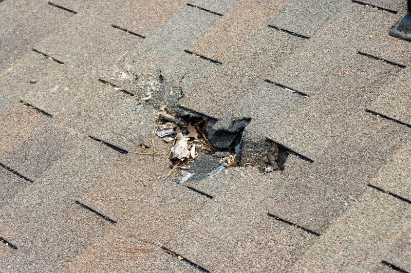 Roof Shingles Replacement in Neptune Beach, FL